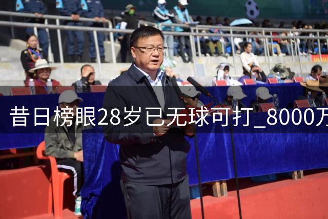 昔日榜眼28岁已无球可打 8000万合同变人生转折点